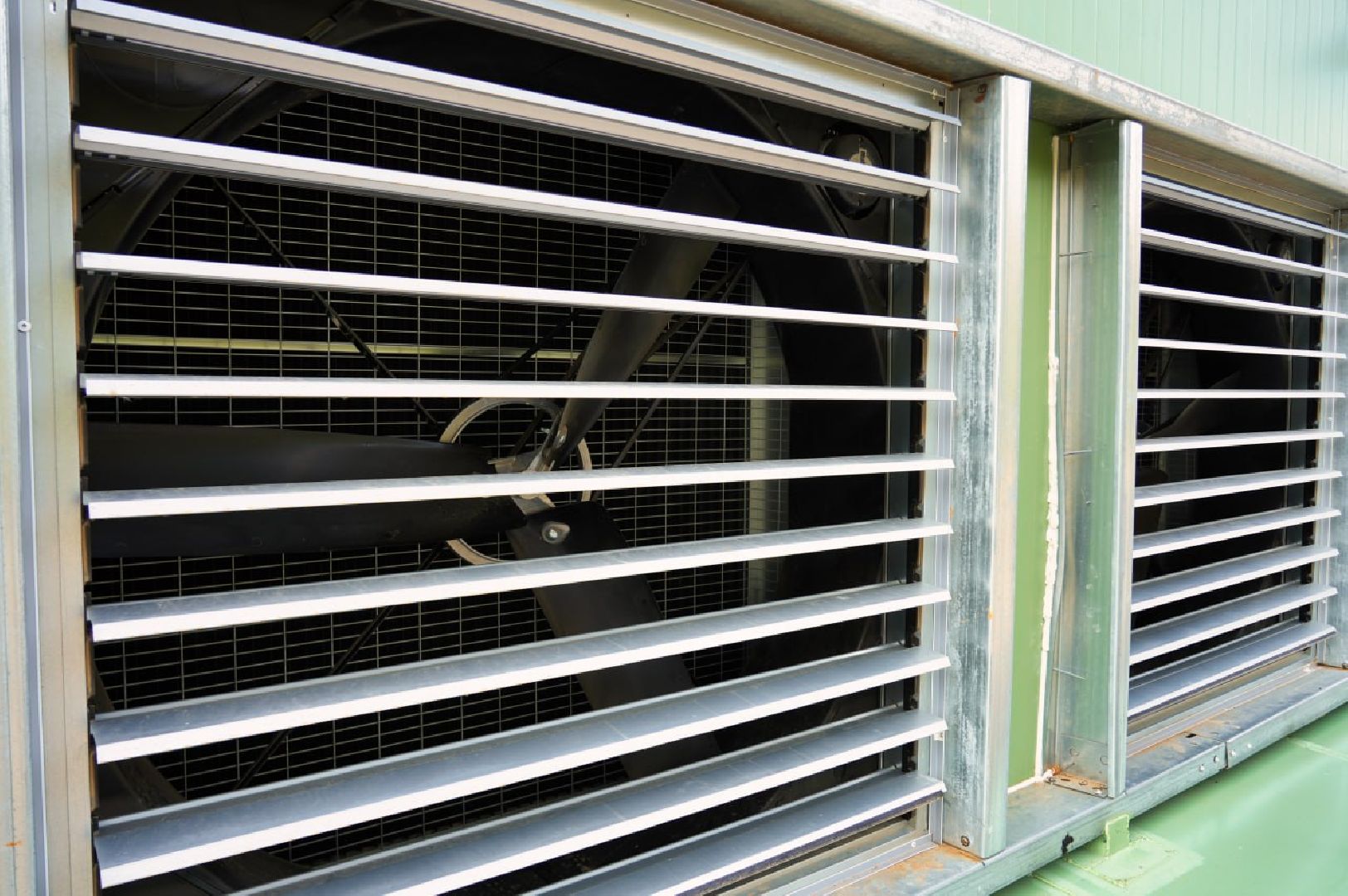 Сергиево-Посадский городской округ, Федеральный проект, Смена, Птицеводство, Птичники, Племенная птица, Смена-9, ВНИИТИП, ВНИТИП, Сельское хозяйство,