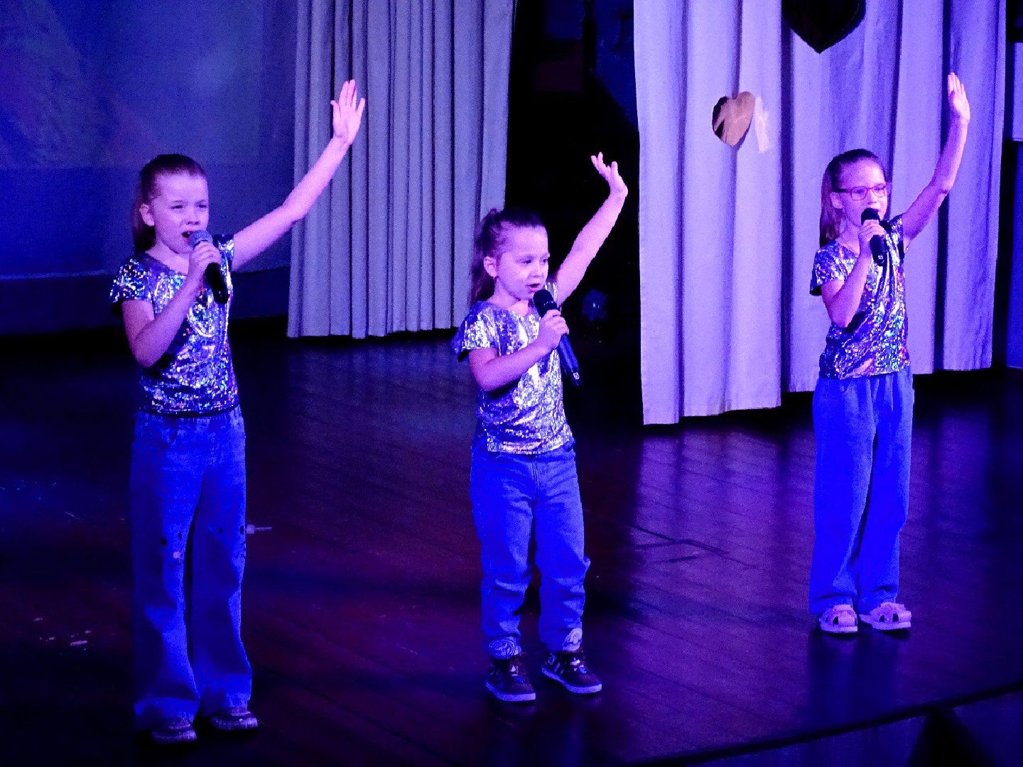 день пожилого человека, концерт, пушкино, песни,