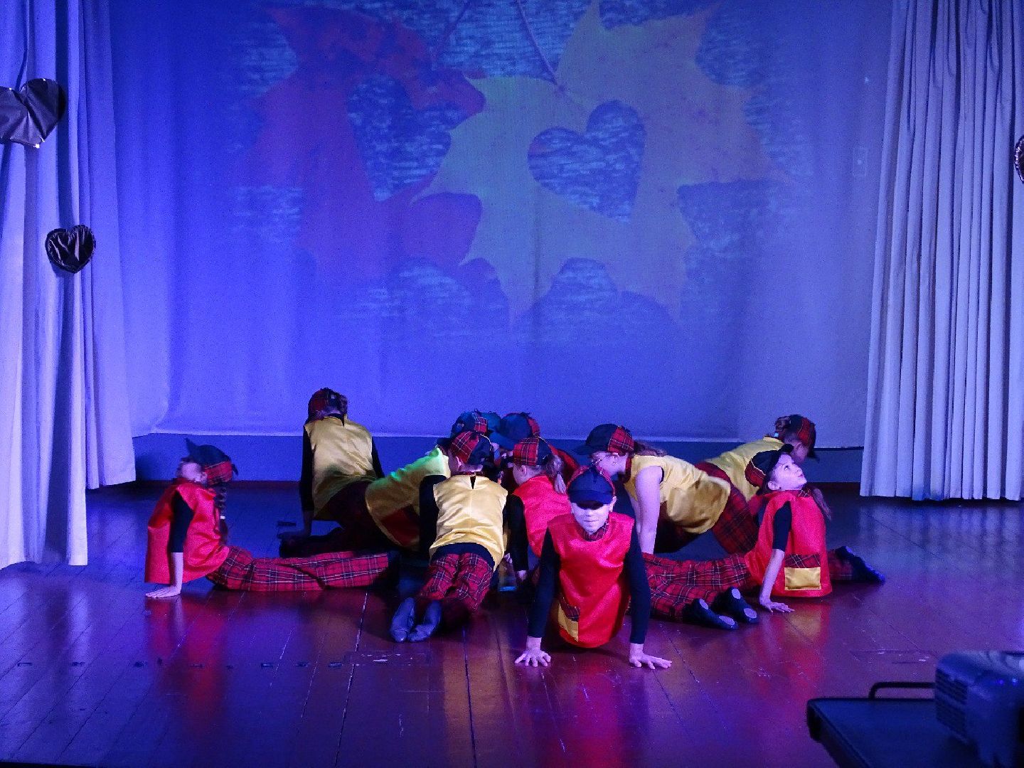 день пожилого человека, концерт, пушкино, песни,