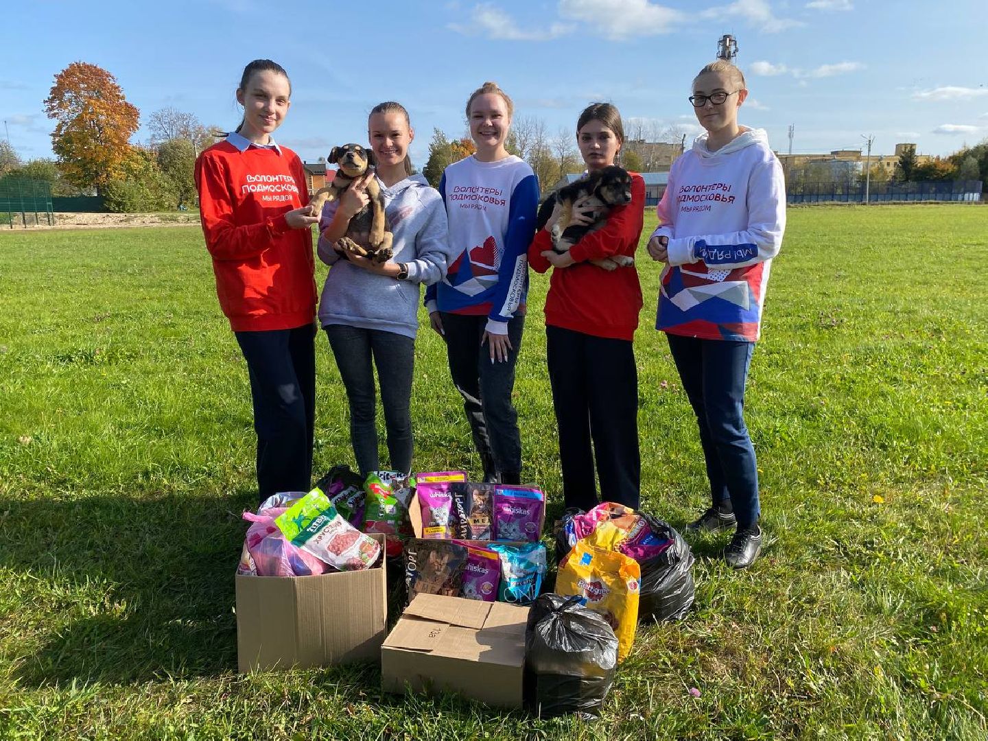 волонтеры, животные, зооволонтеры, мцвыбор, талдом, щенки,