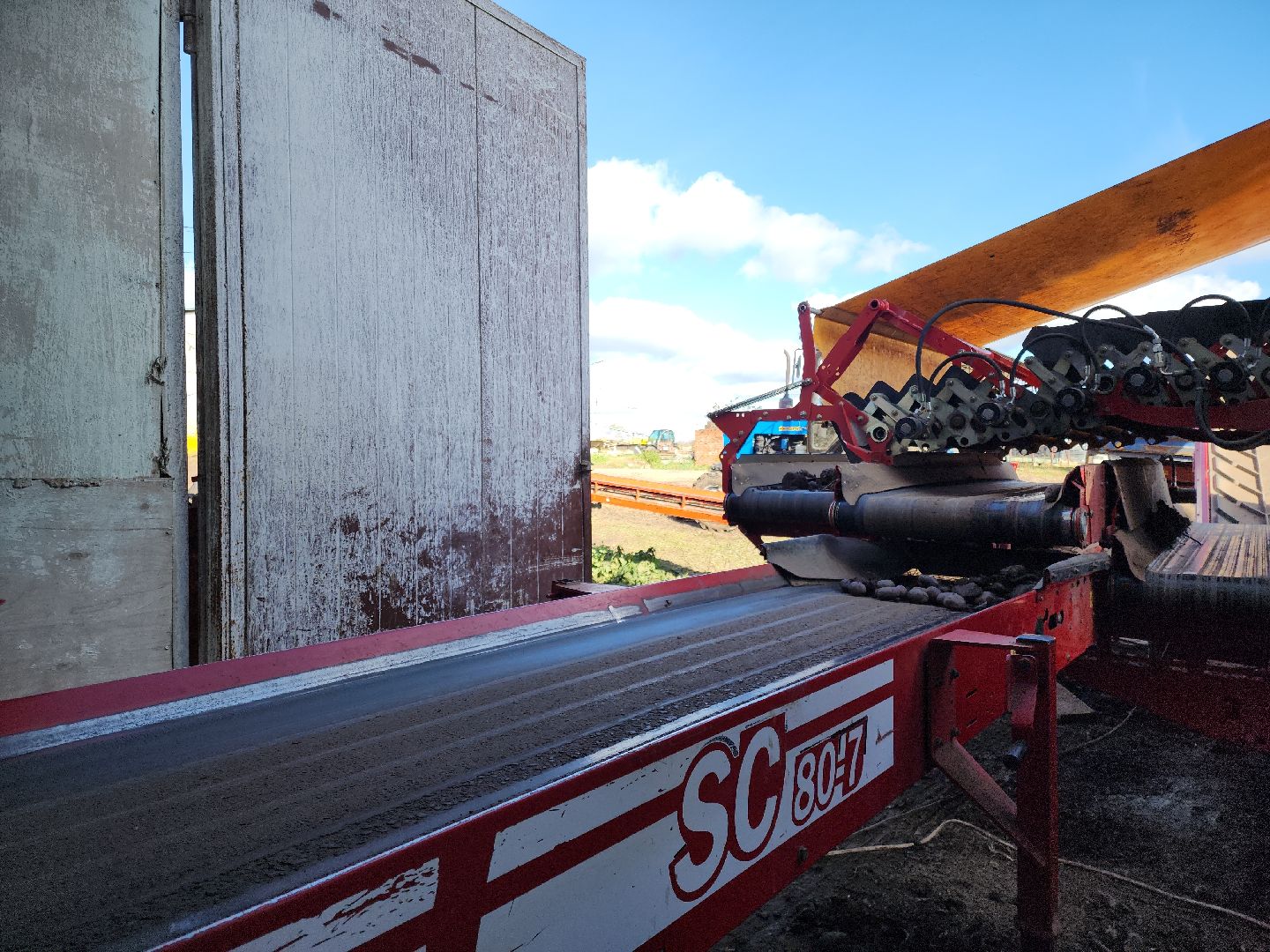 кашира, урожай, семенной картофель, фх седек, топканово, селекция,