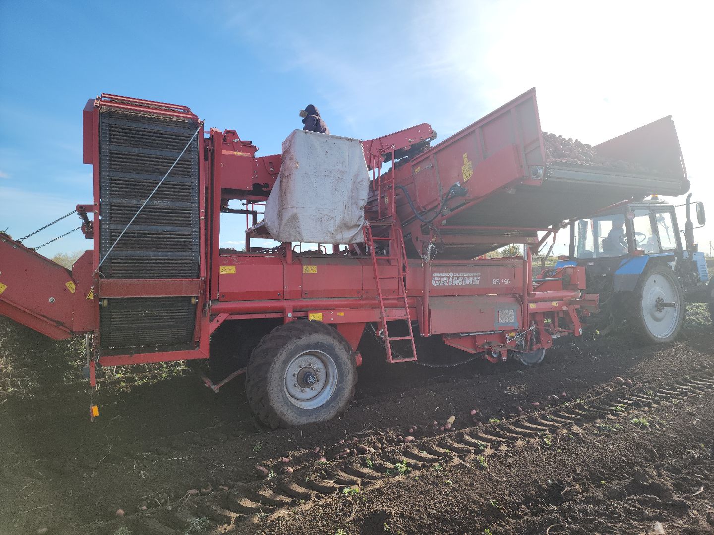 Кашира, уборочная кампания, яровые, озимые, пшеница, горох, картофель,