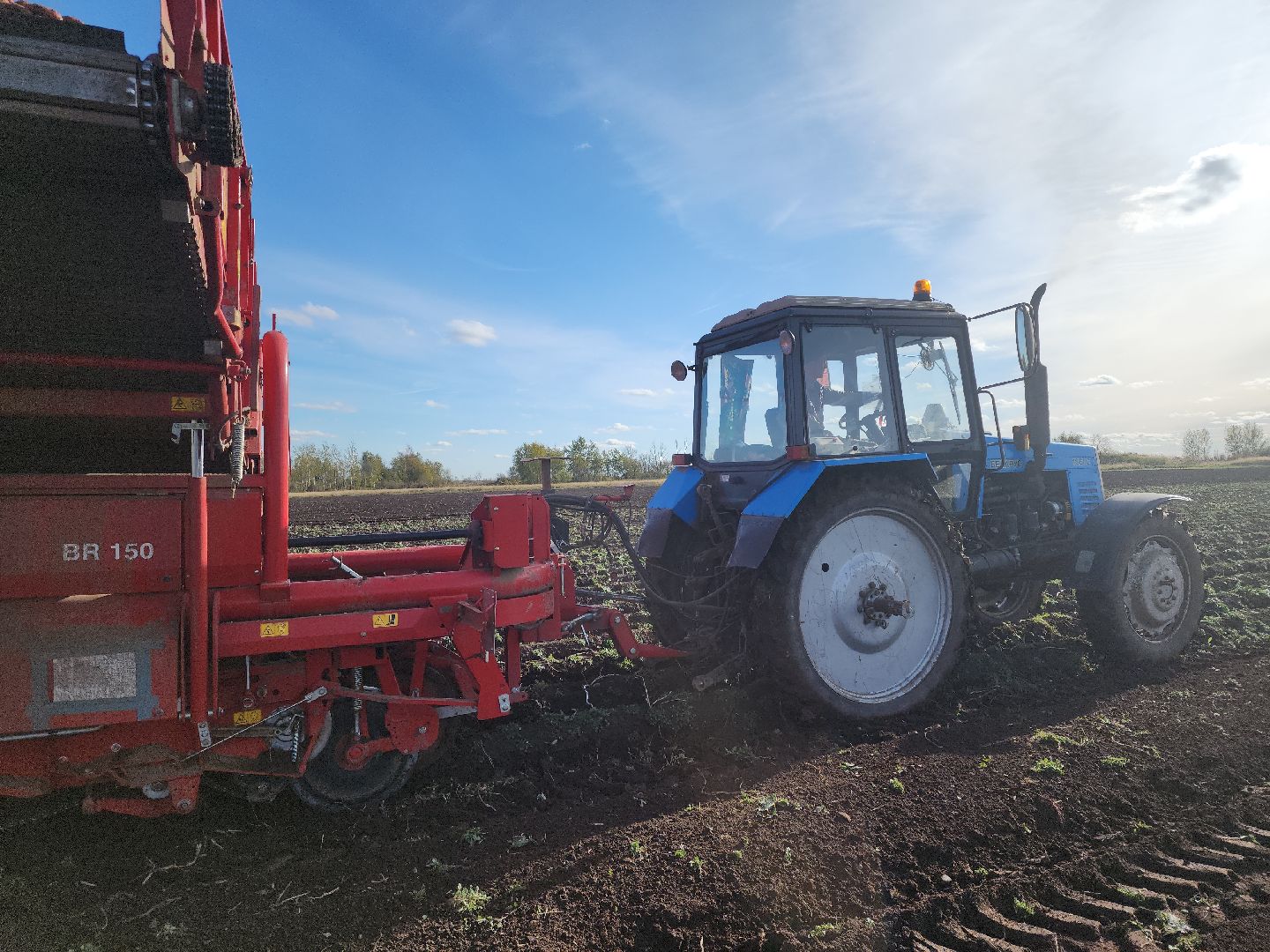 Кашира, уборочная кампания, яровые, озимые, пшеница, горох, картофель,