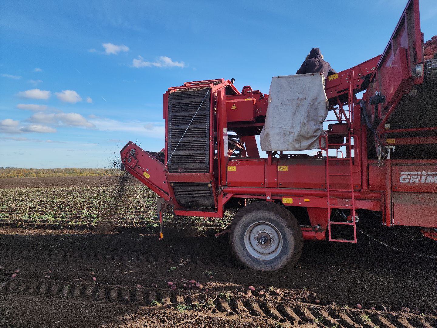 Кашира, уборочная кампания, яровые, озимые, пшеница, горох, картофель,