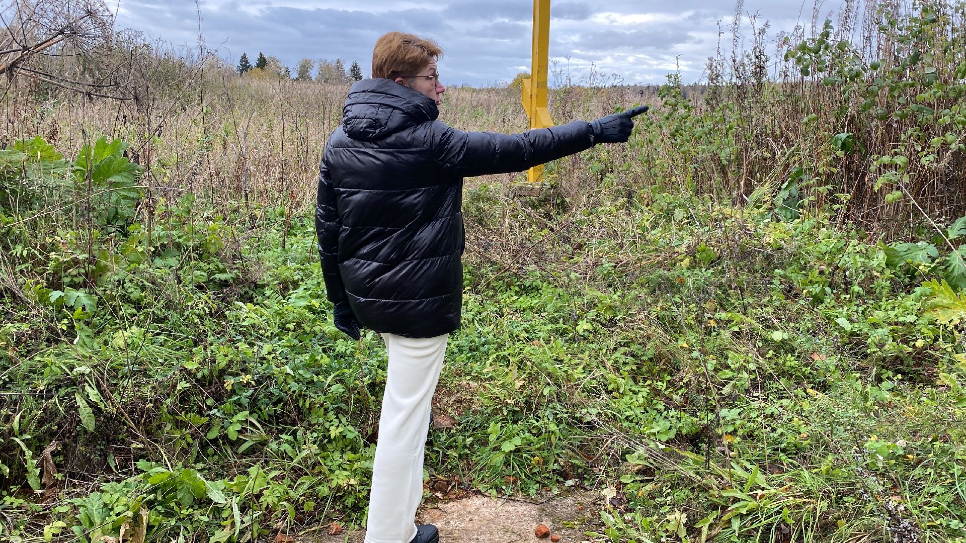 волоколамск, лихачево, деревня, история, миф, легенда, краеведение, краеведы,