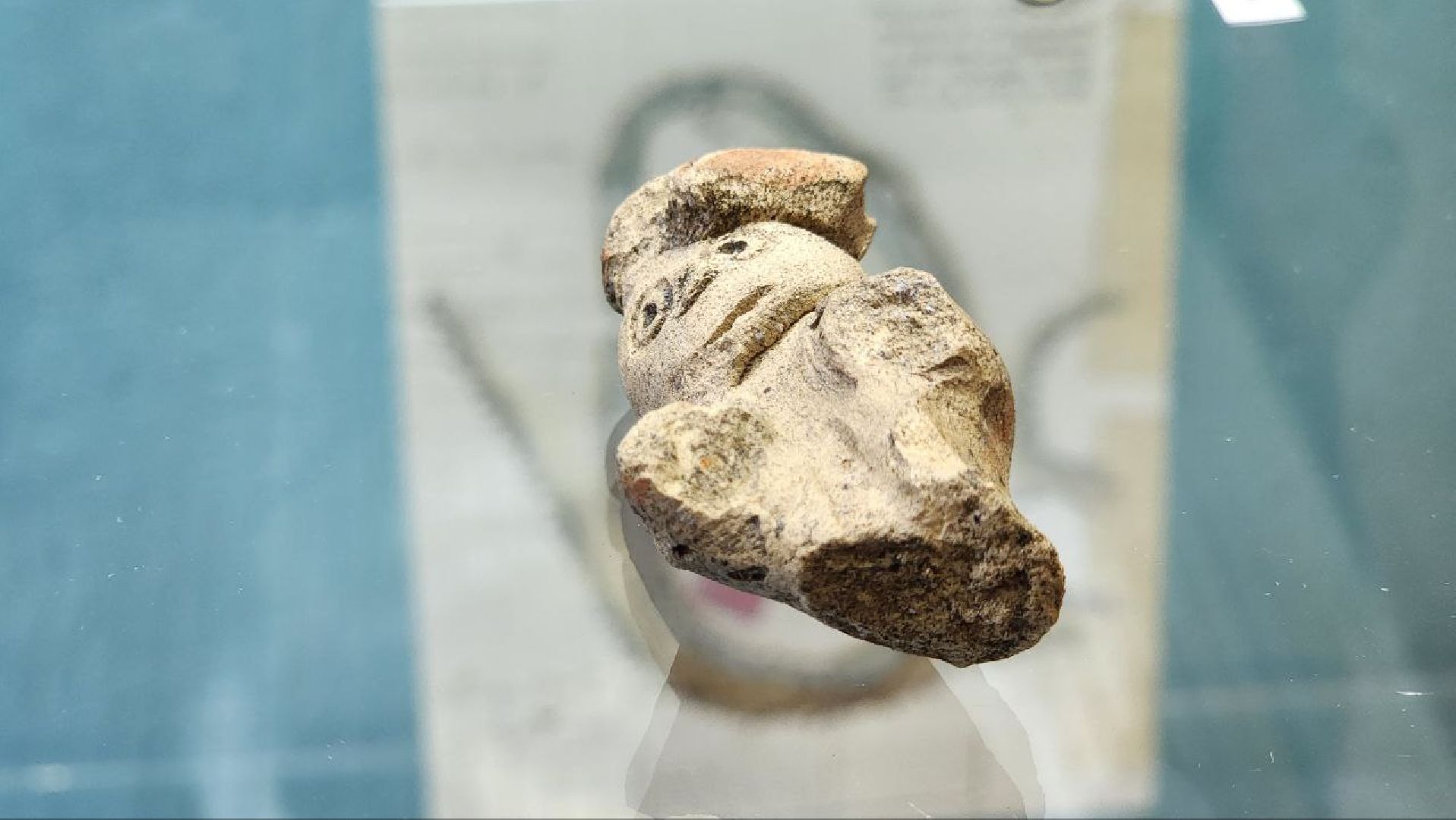 Дмитров, Музей Дмитровский кремль, Институт археологии РАН,