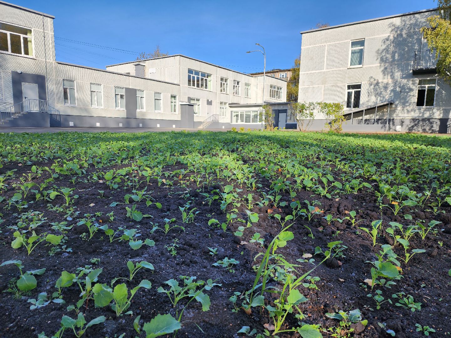 детский сад звездочка, серпухов, капитальный ремонт, улица осенняя, образование,