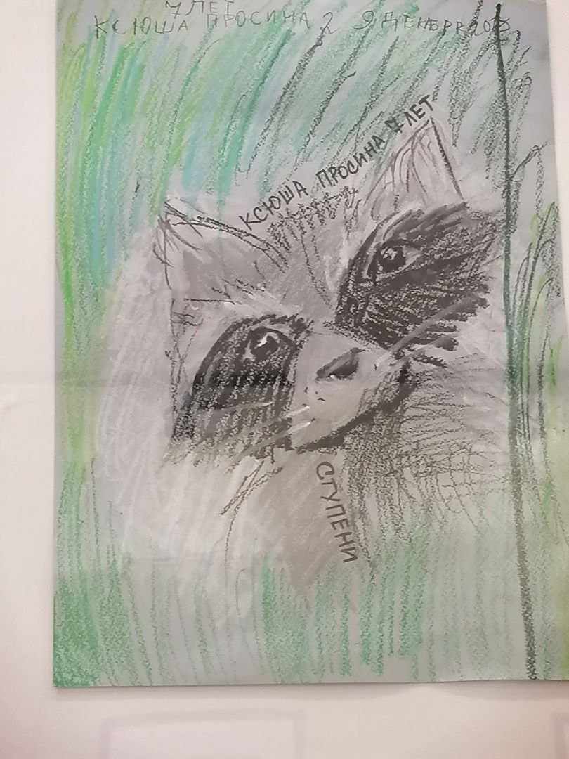 юные таланты,