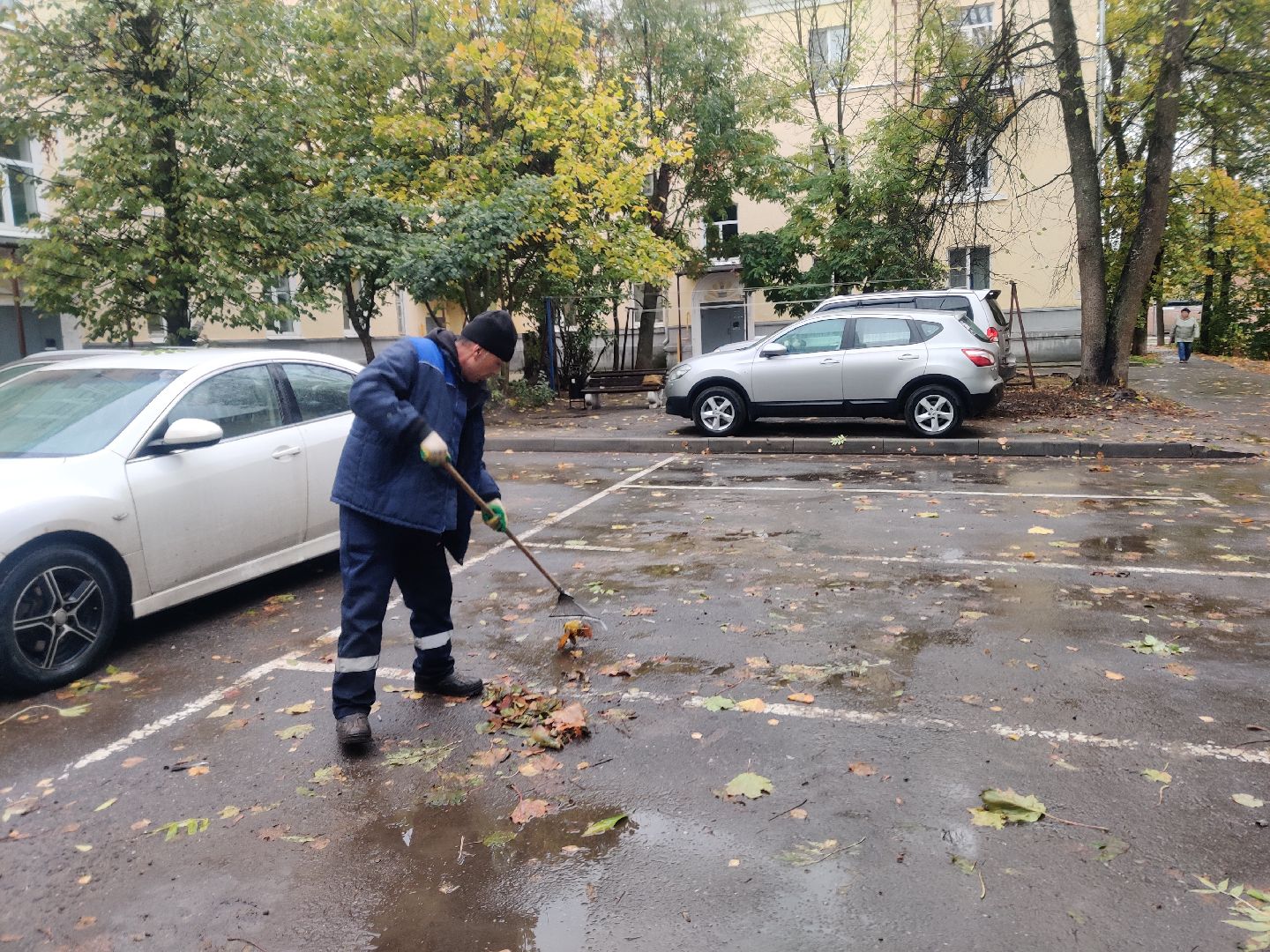 красноармейск, г.о. пушкинский, жкх, уборка дворов,