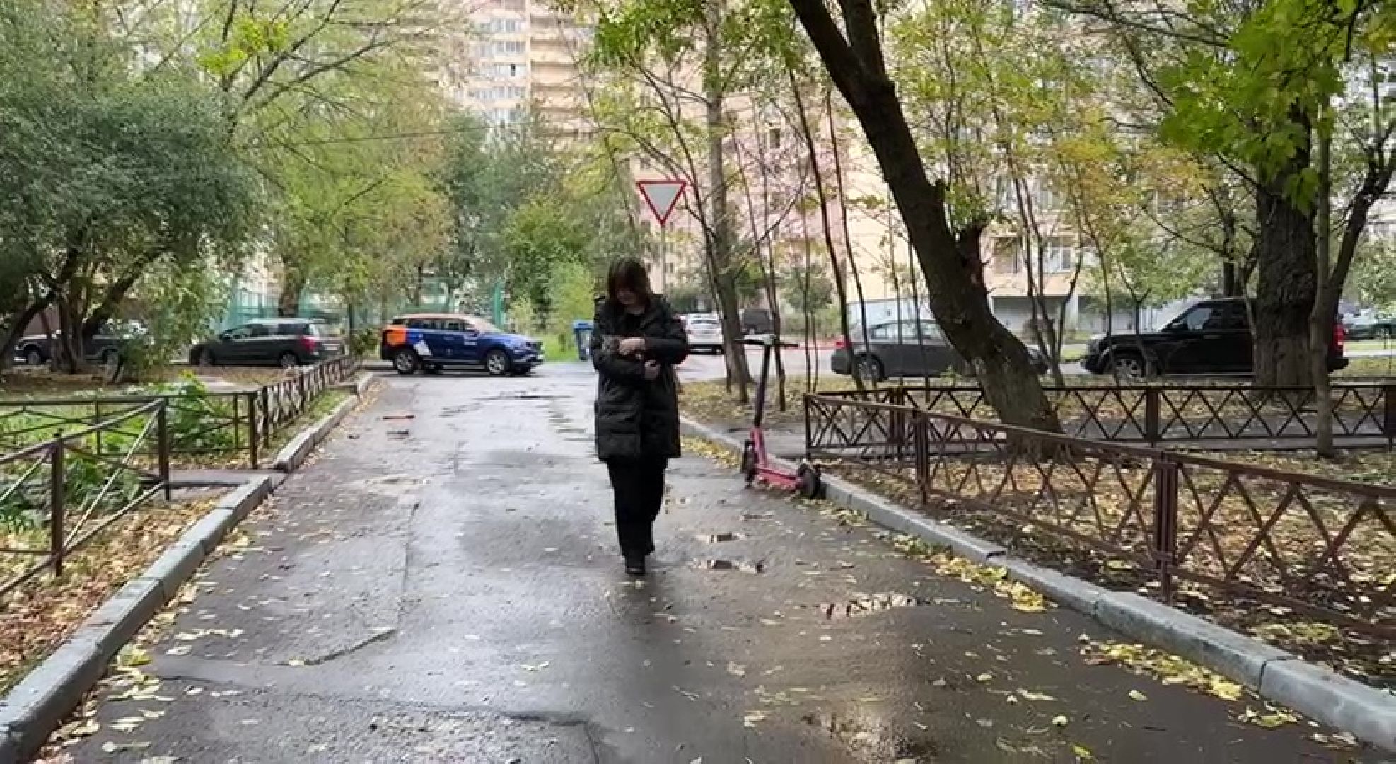 Реутов, Носовиха, спасение кошки, животное, дерево, вышка,