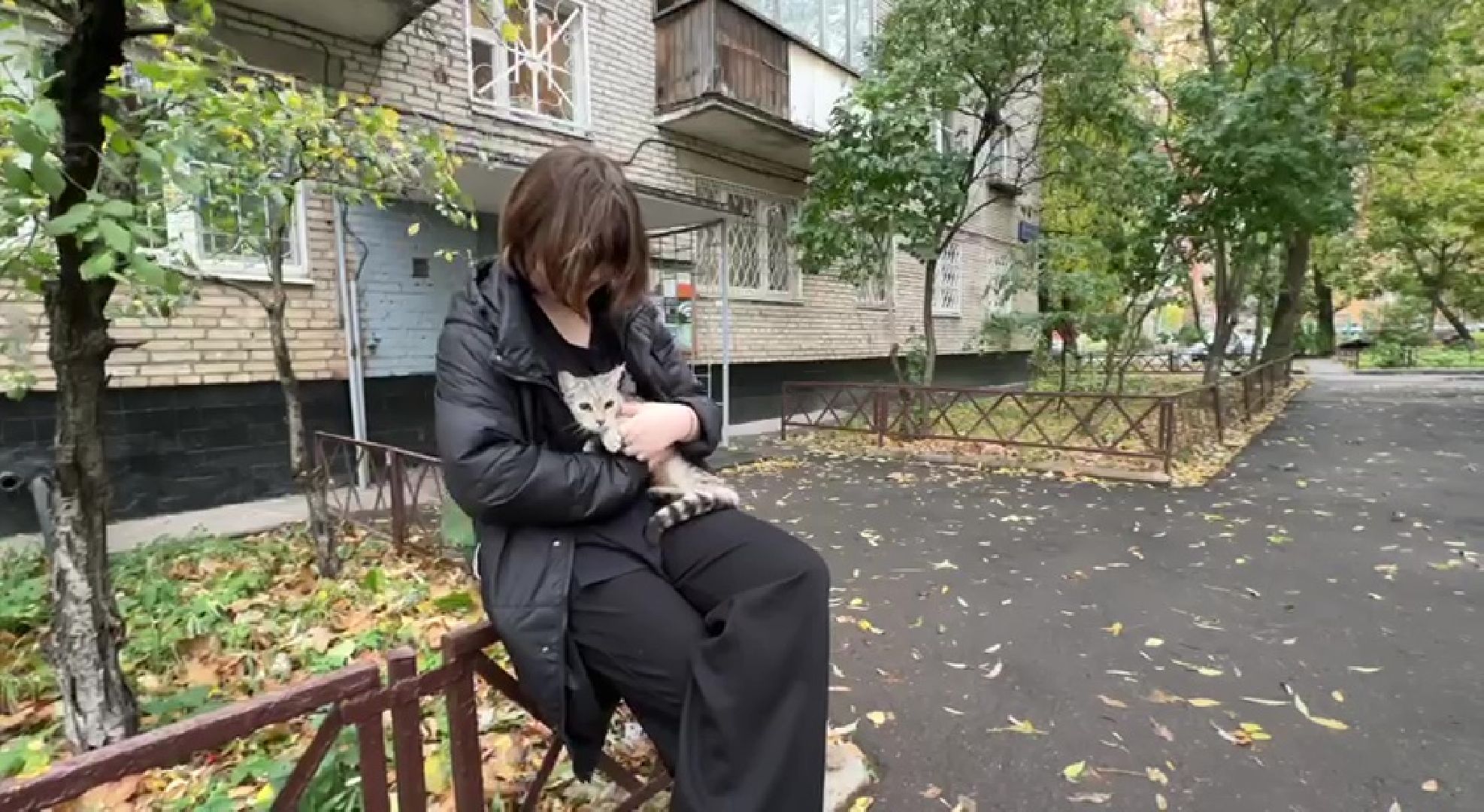 Реутов, Носовиха, спасение кошки, животное, дерево, вышка,