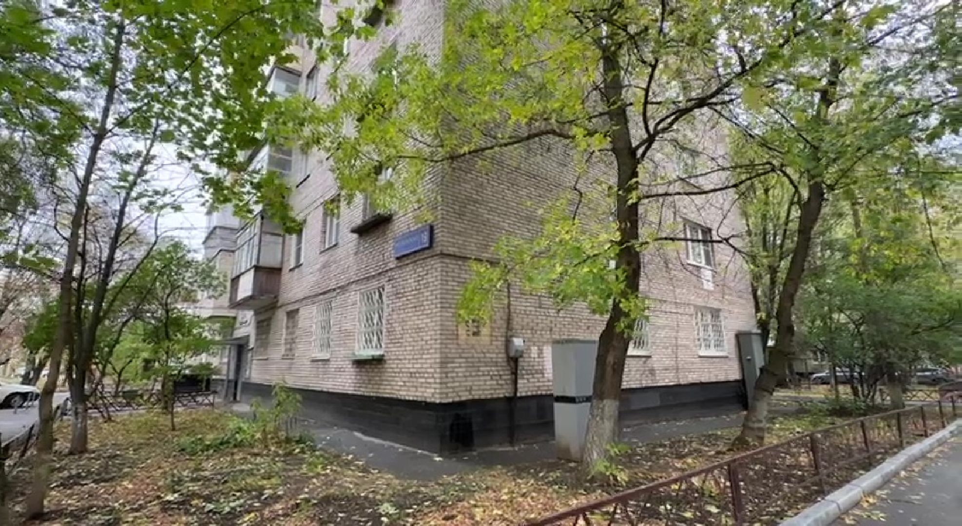 Реутов, Носовиха, спасение кошки, животное, дерево, вышка,