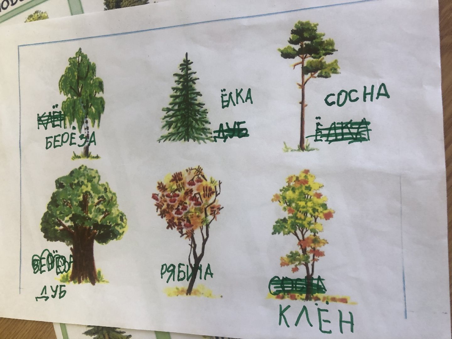 коломна, медицина, логопед,