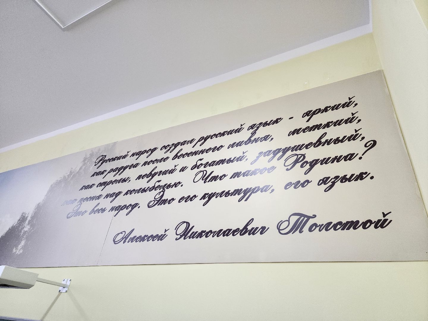 серпухов, подмосковье, дети, приемные дети, соцзащита,