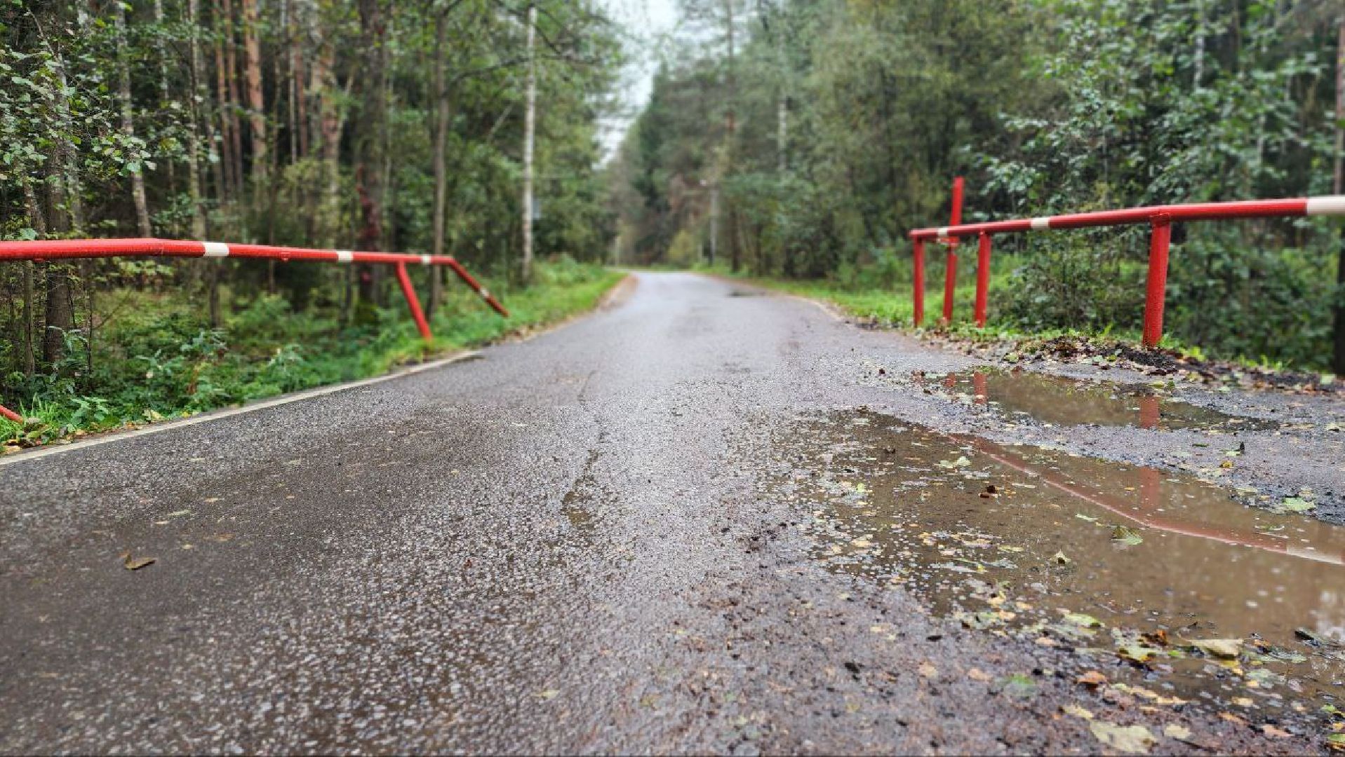 Дмитров, СНТ, Администрация ДГО,