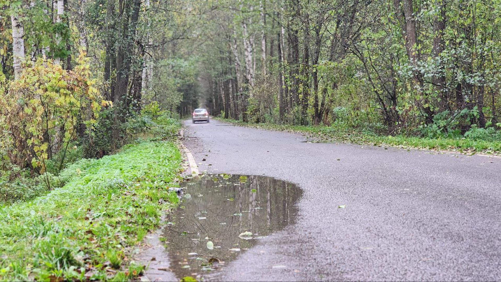 Дмитров, СНТ, Администрация ДГО,