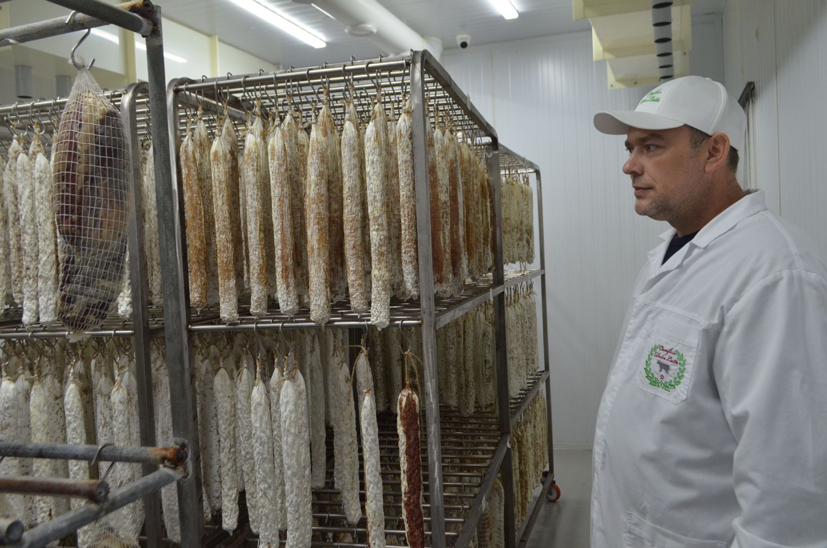 Люберцы, Субсидия, Сыроварня, Бизнес,