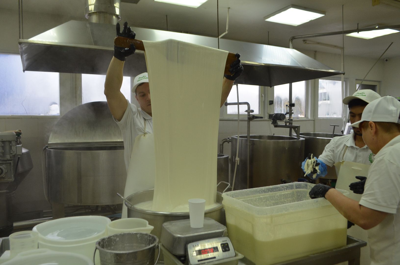 Люберцы, Субсидия, Сыроварня, Бизнес,