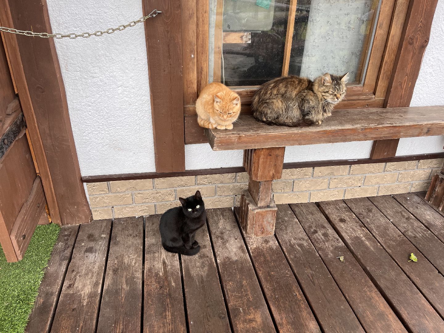 Шаховская, ферма, глэмпинг, база отдыха,