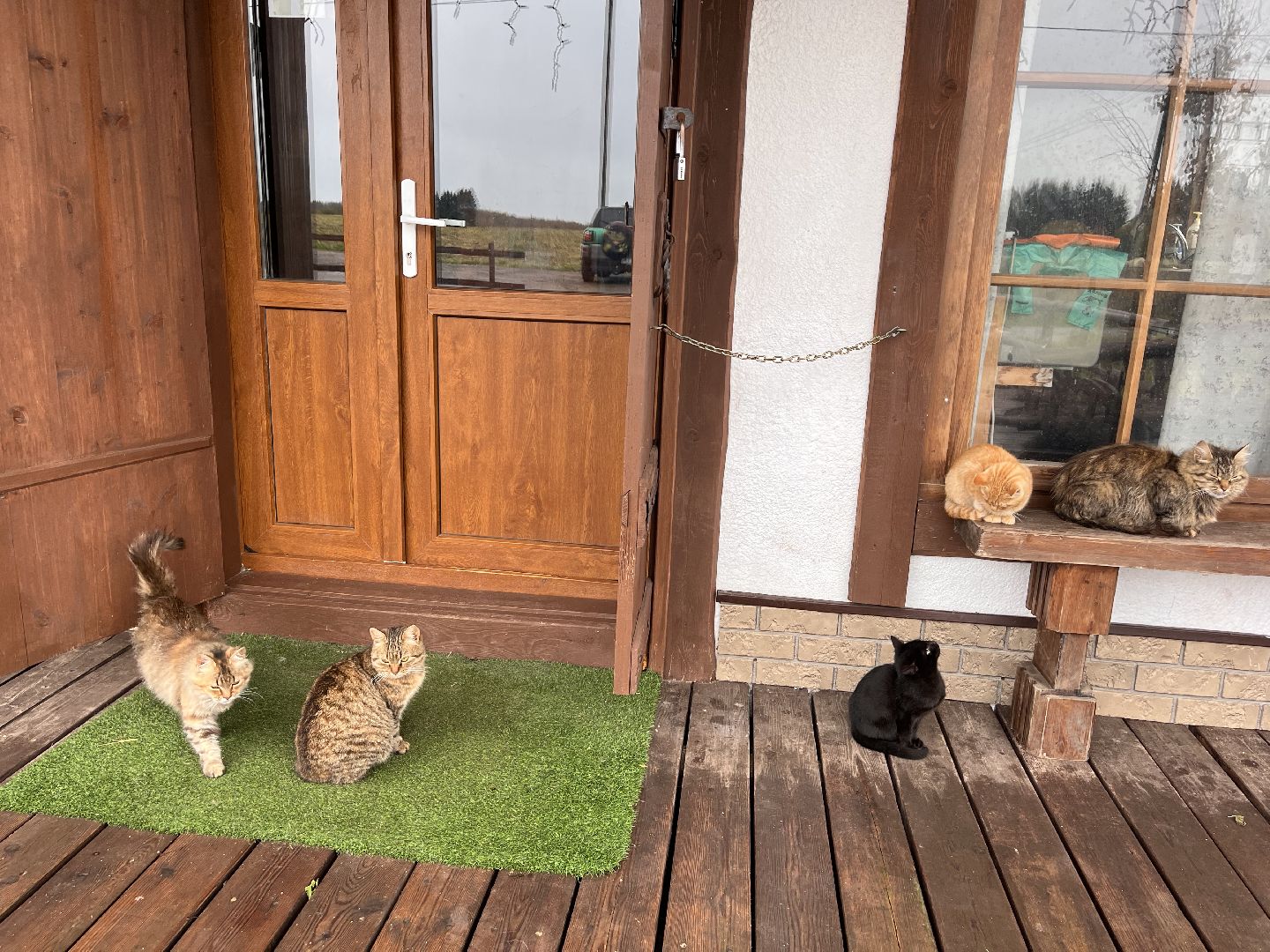 Шаховская, ферма, глэмпинг, база отдыха,