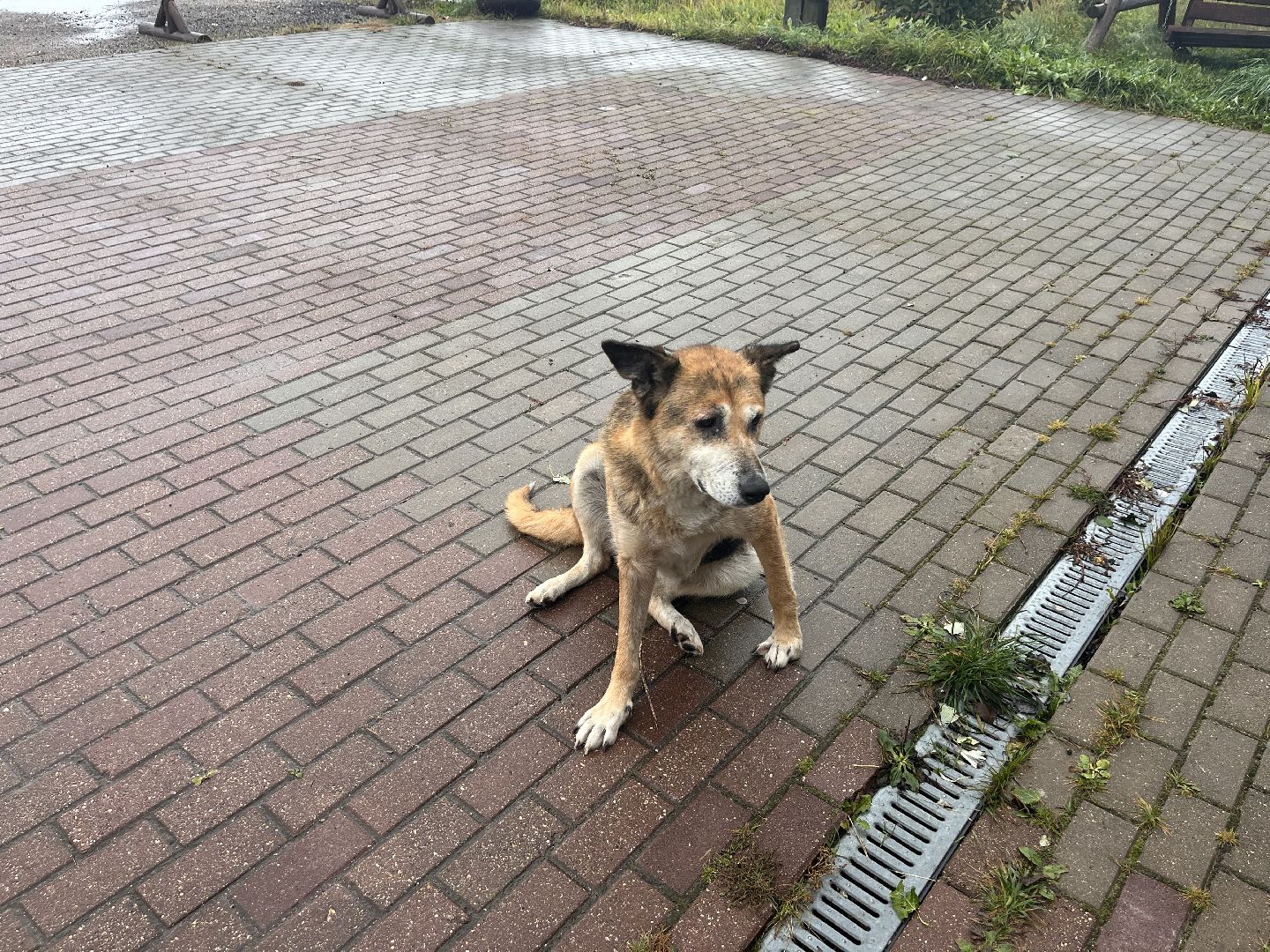 Шаховская, ферма, глэмпинг, база отдыха,