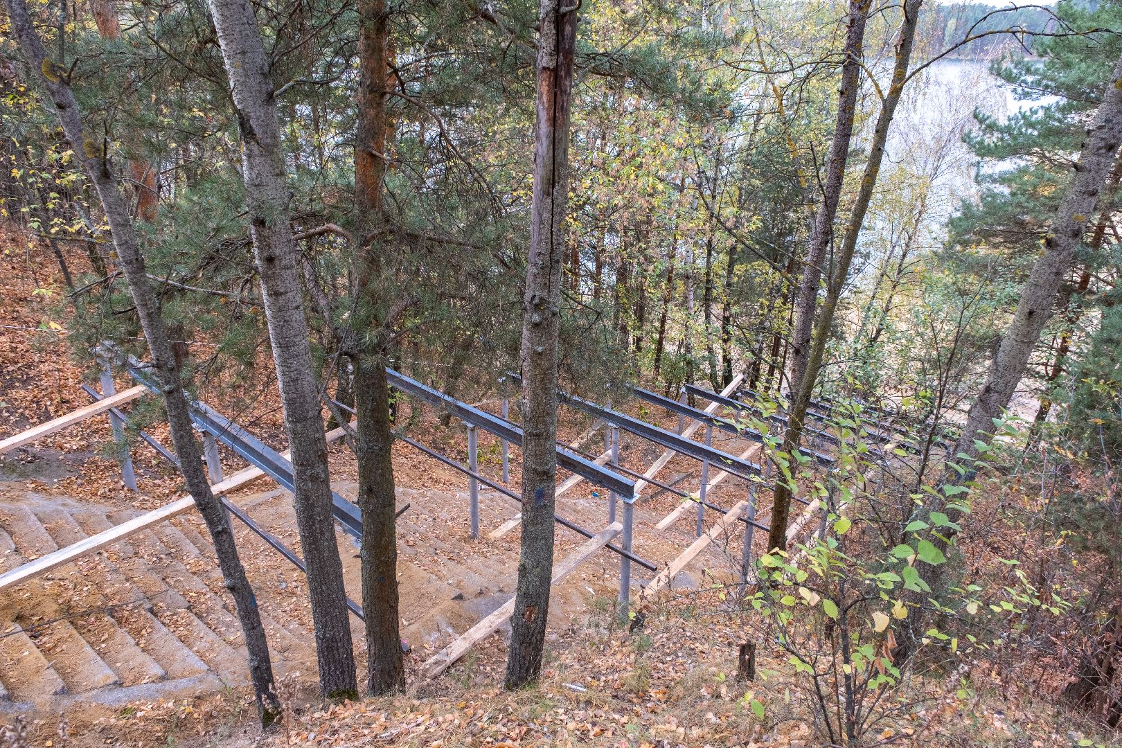 лыткарино, благоустройство, волкуша, лесопарк,