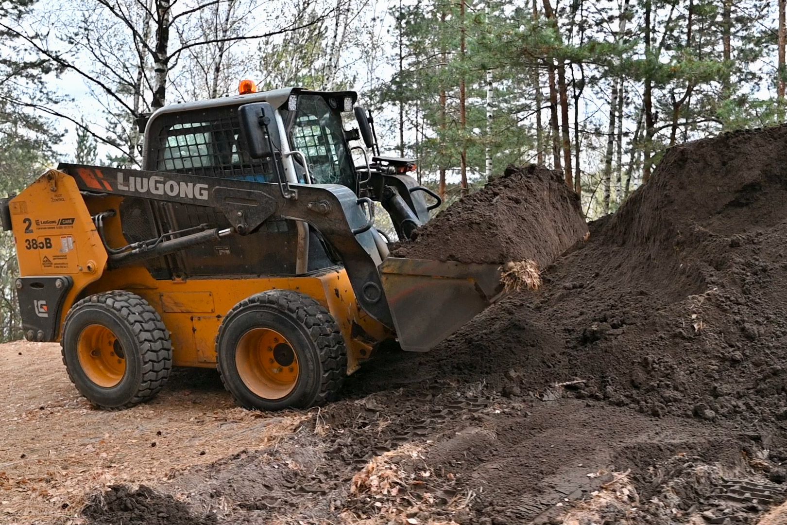 лыткарино, благоустройство, волкуша, лесопарк,