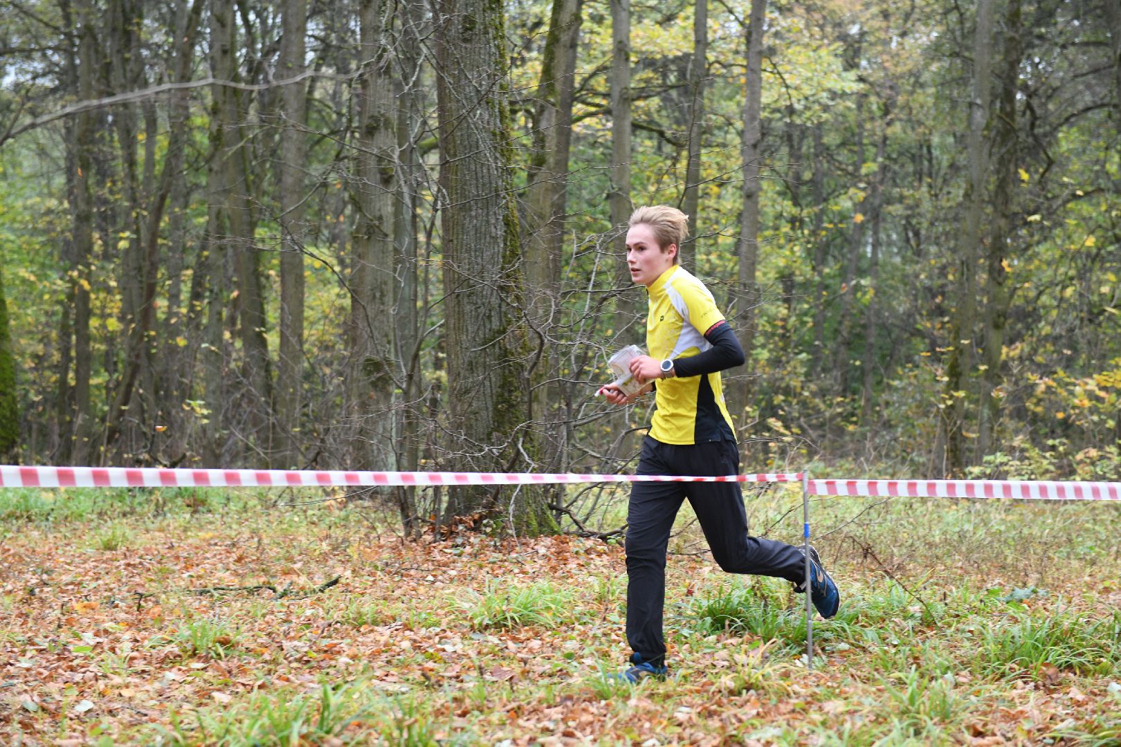 лыткарино, ориентирование, спортшкола,