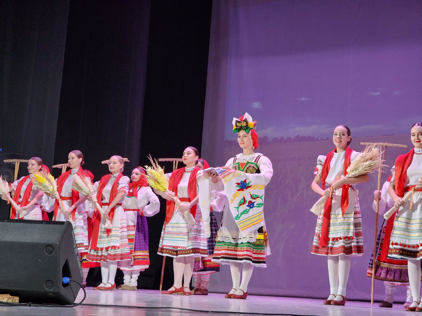 Егорьевск, детская школа искусств, Юбилей, Подмосковье, наше подмосковье, московская область,