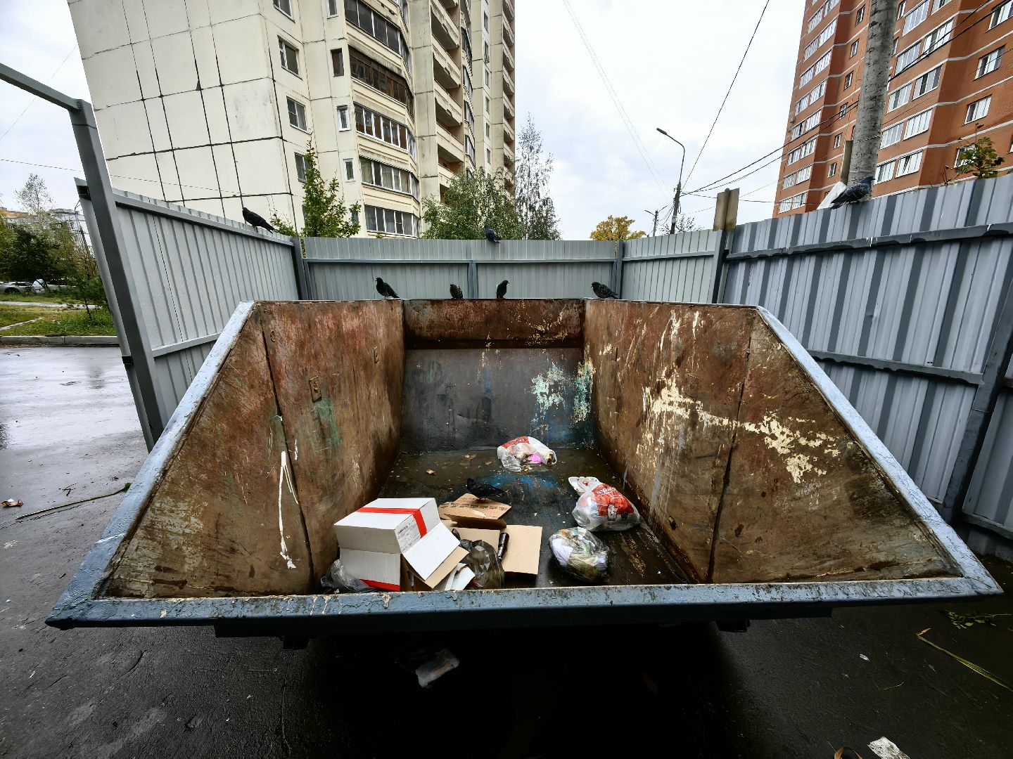 мусор, мусорные площадки, жители, контейнер,