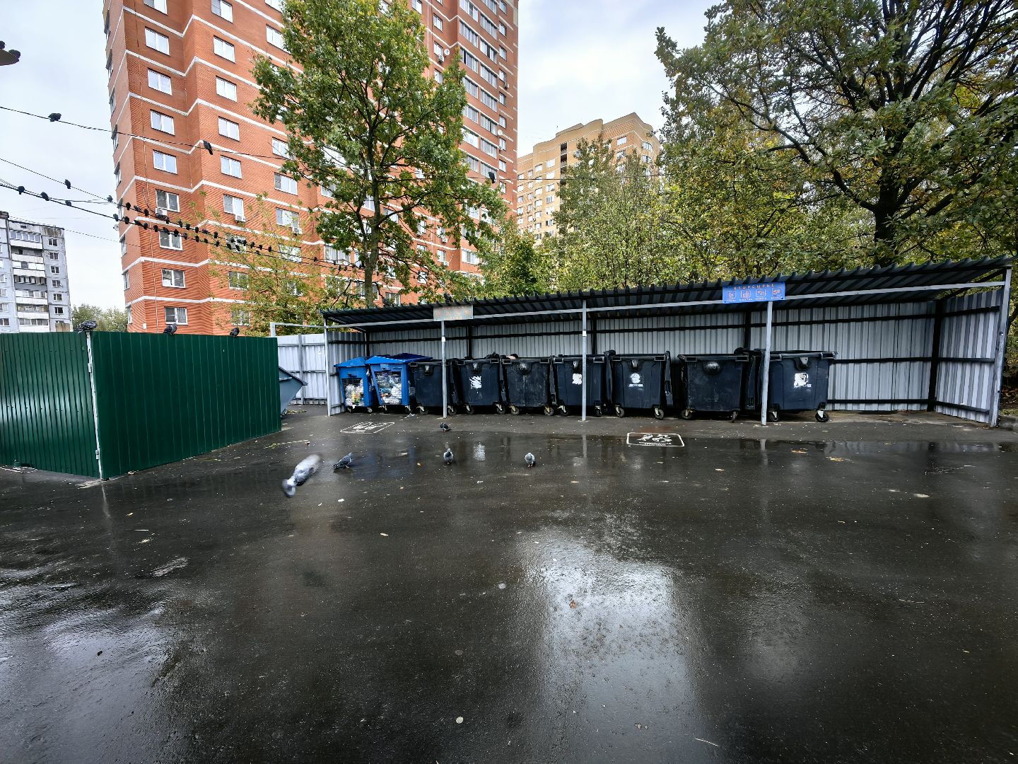 мусор, мусорные площадки, жители, контейнер,