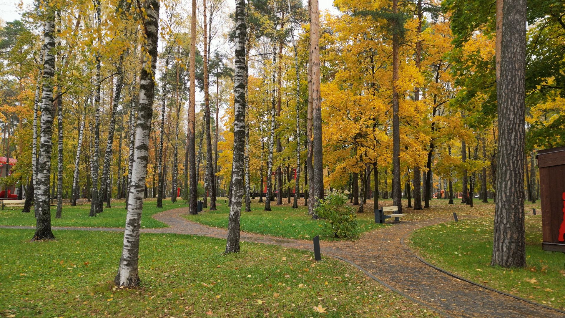 видео с коптера,