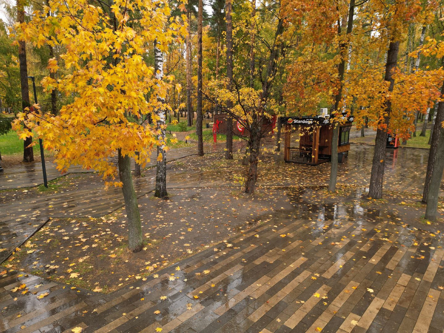 видео с коптера,