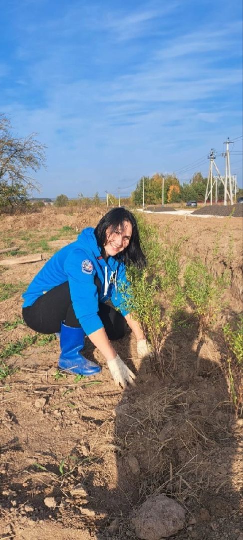 воскресенск, благоустройство, дорога, жители,