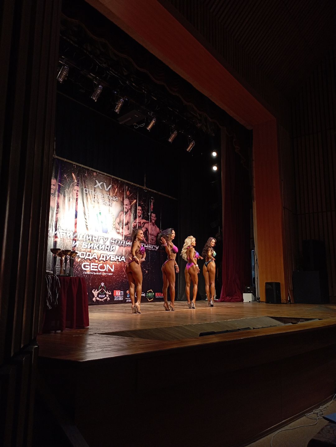 бодибилдин бодифитнес бикини открытыйкубок Дубна ДКОктябрь ФедерацияБодибилдингаРоссии ФедерацияБодибилдингаМосковскойОбласти Дубна Подмосковье