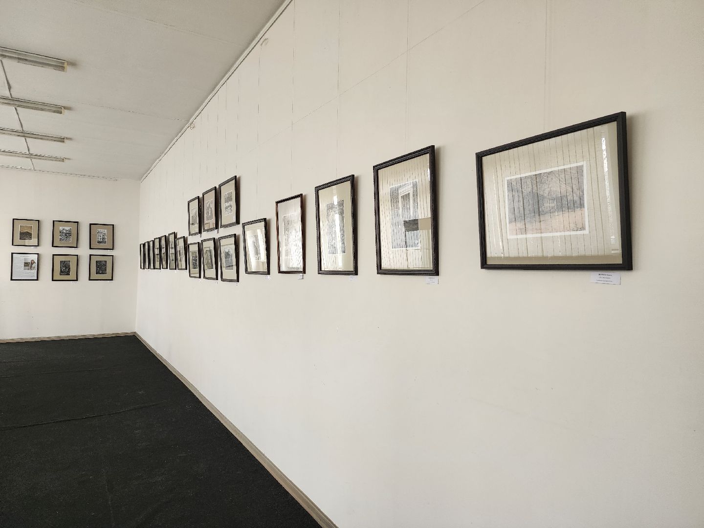 Выставка, художник, дом художника, Ногинск, Богородский городской округ,