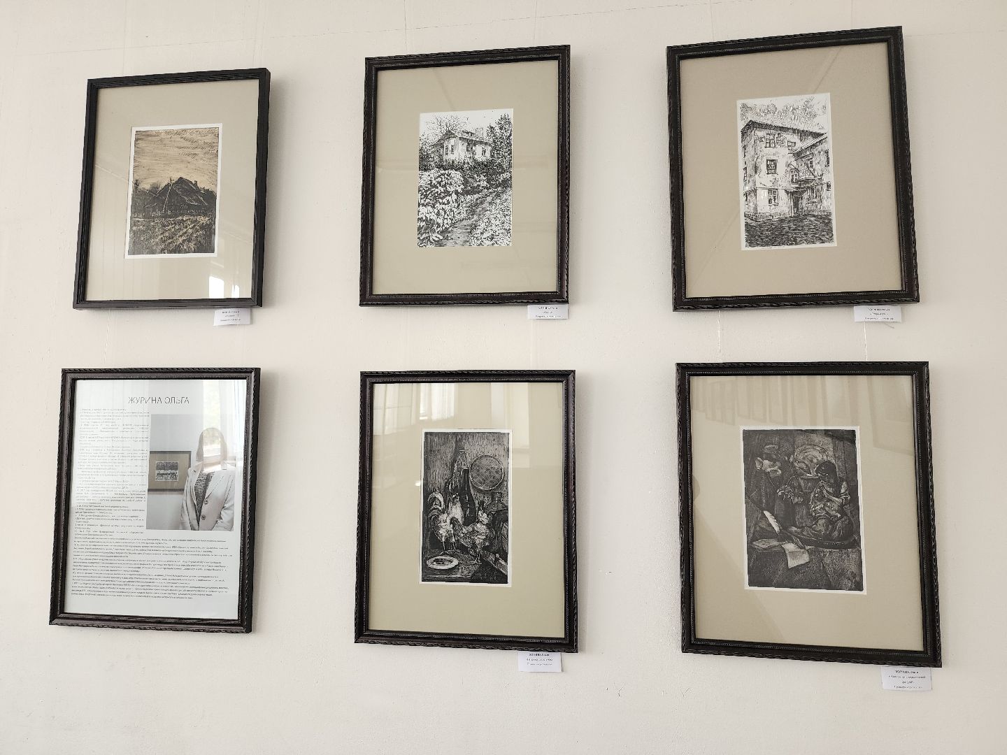 Выставка, художник, дом художника, Ногинск, Богородский городской округ,