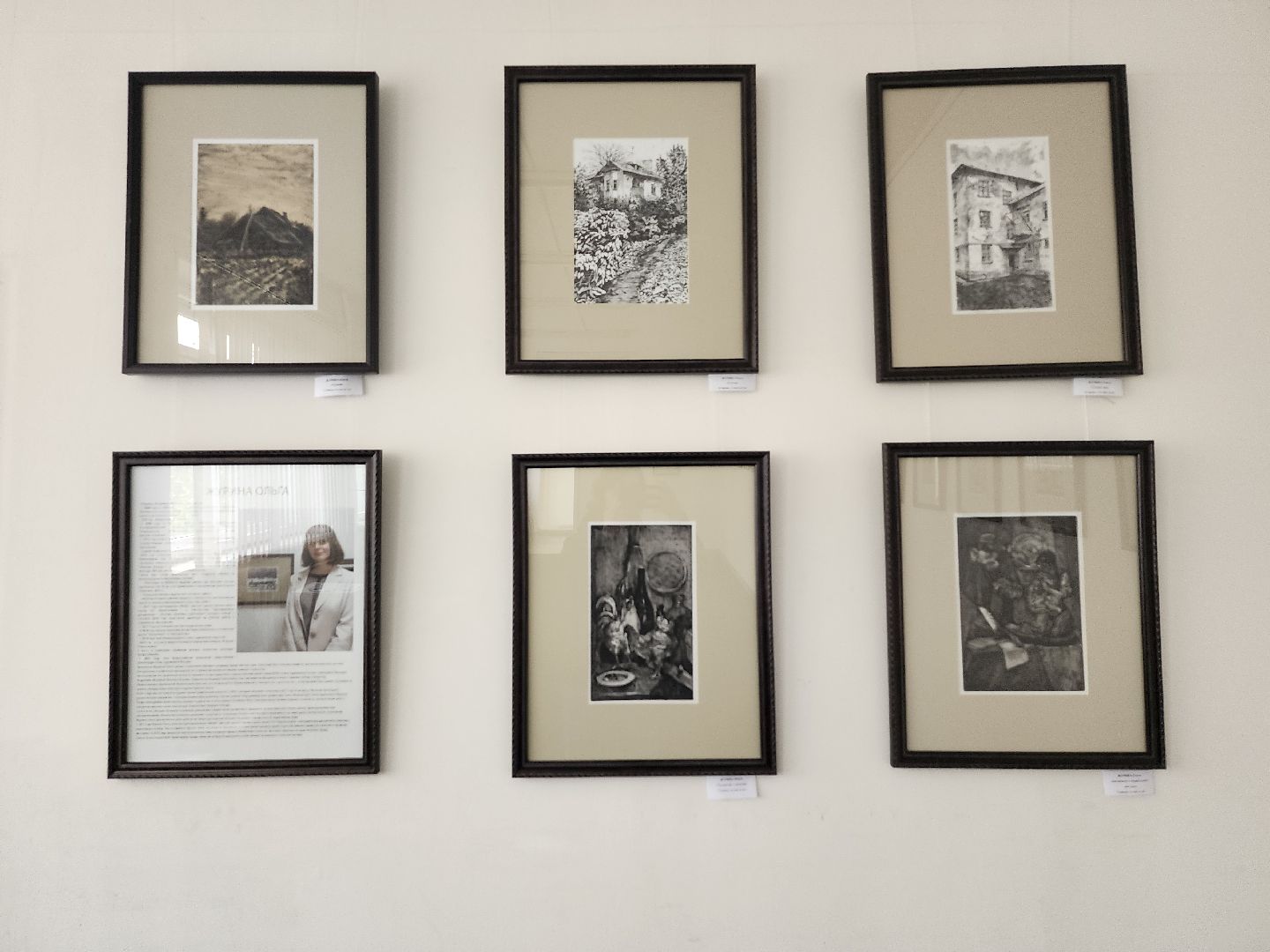 Выставка, художник, дом художника, Ногинск, Богородский городской округ,