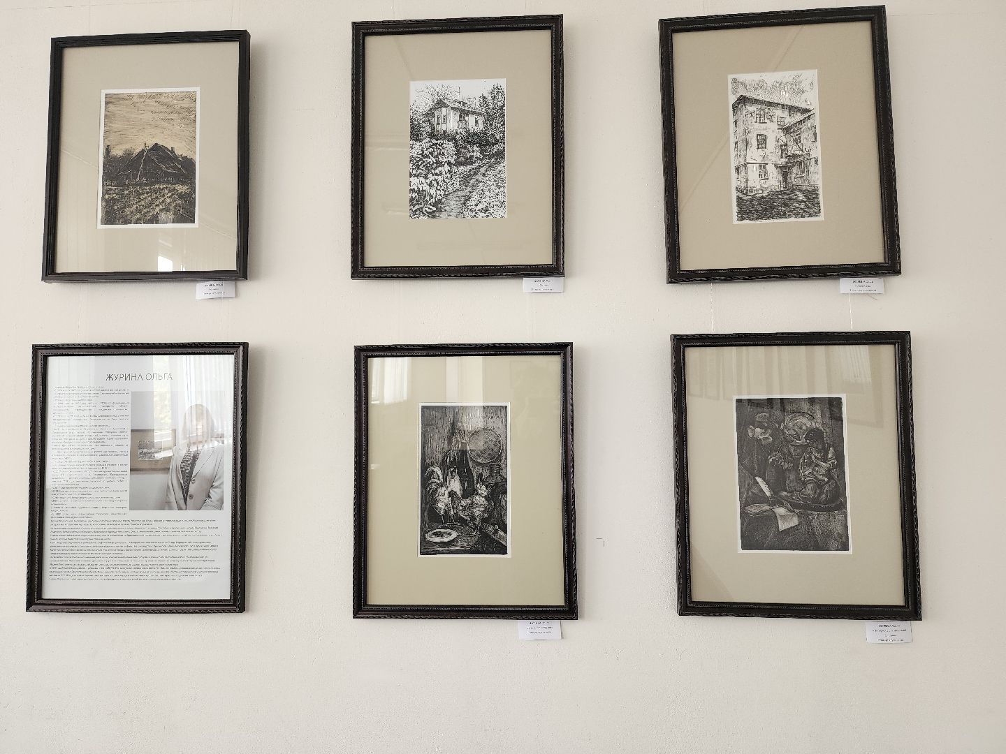 Выставка, художник, дом художника, Ногинск, Богородский городской округ,