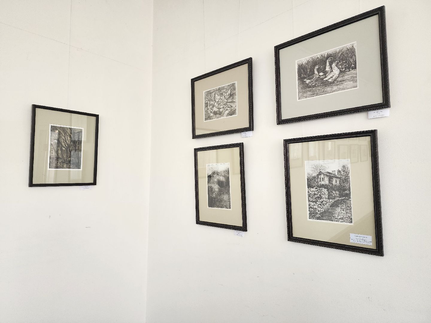 Выставка, художник, дом художника, Ногинск, Богородский городской округ,