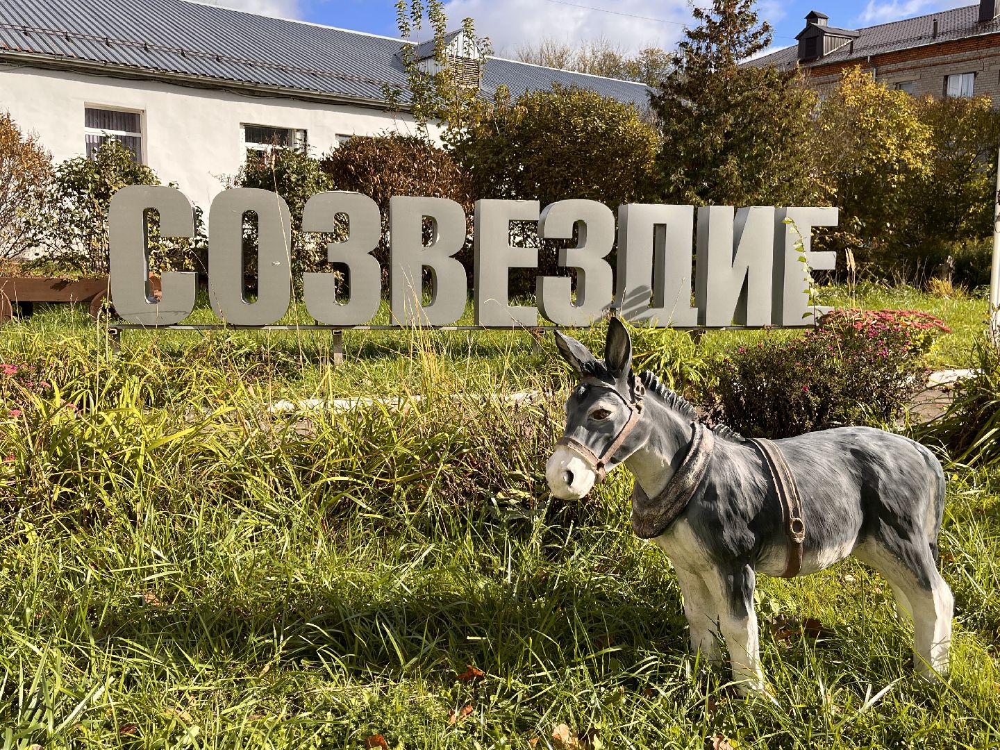 руза, рузский городской округ, семья, приемные дети, московская область, подмосковье,