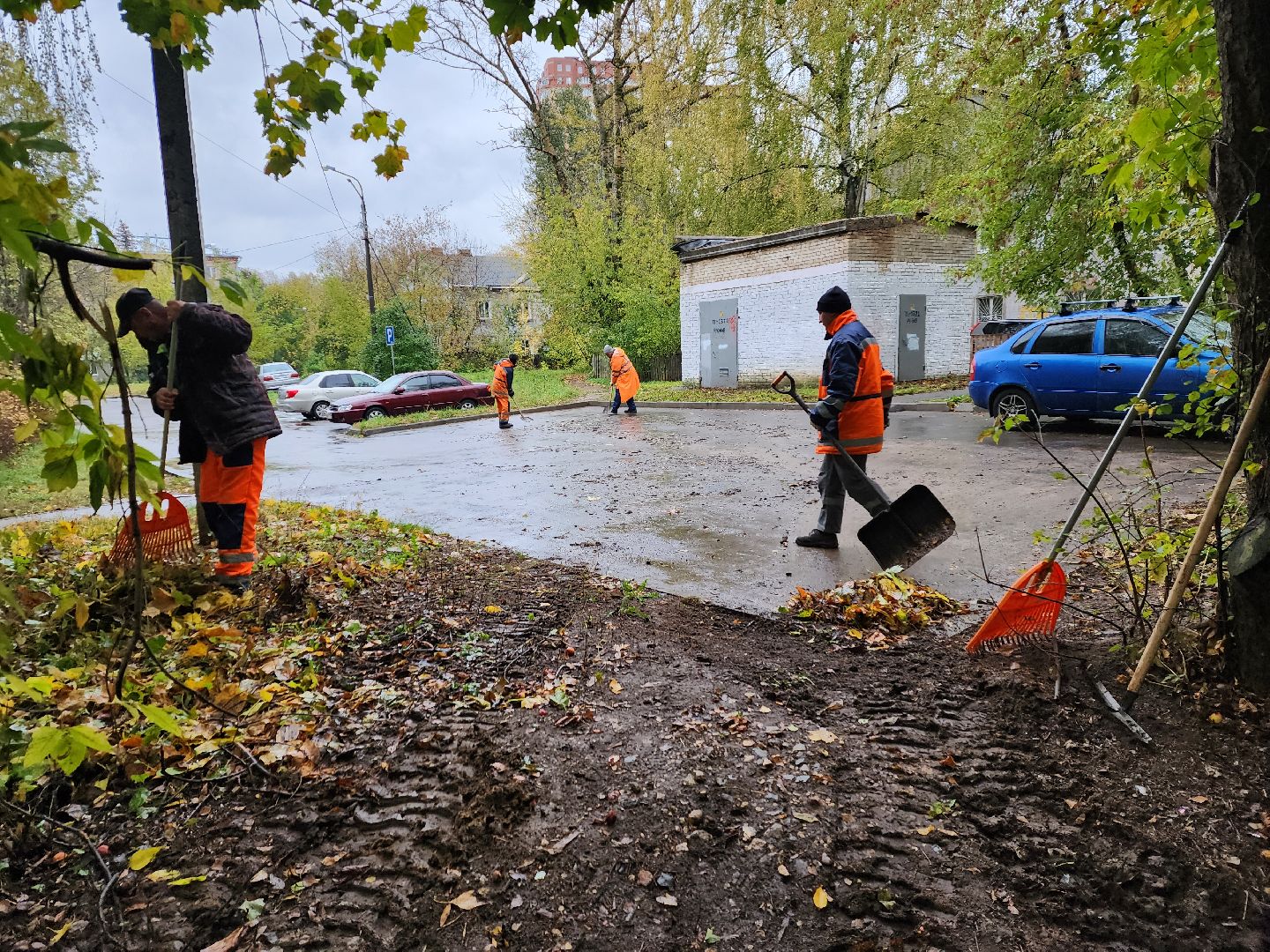 пушкино, благоустройство, листья, коммунальное хозяйство,