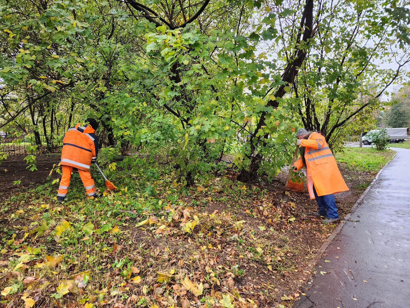 пушкино, благоустройство, листья, коммунальное хозяйство,