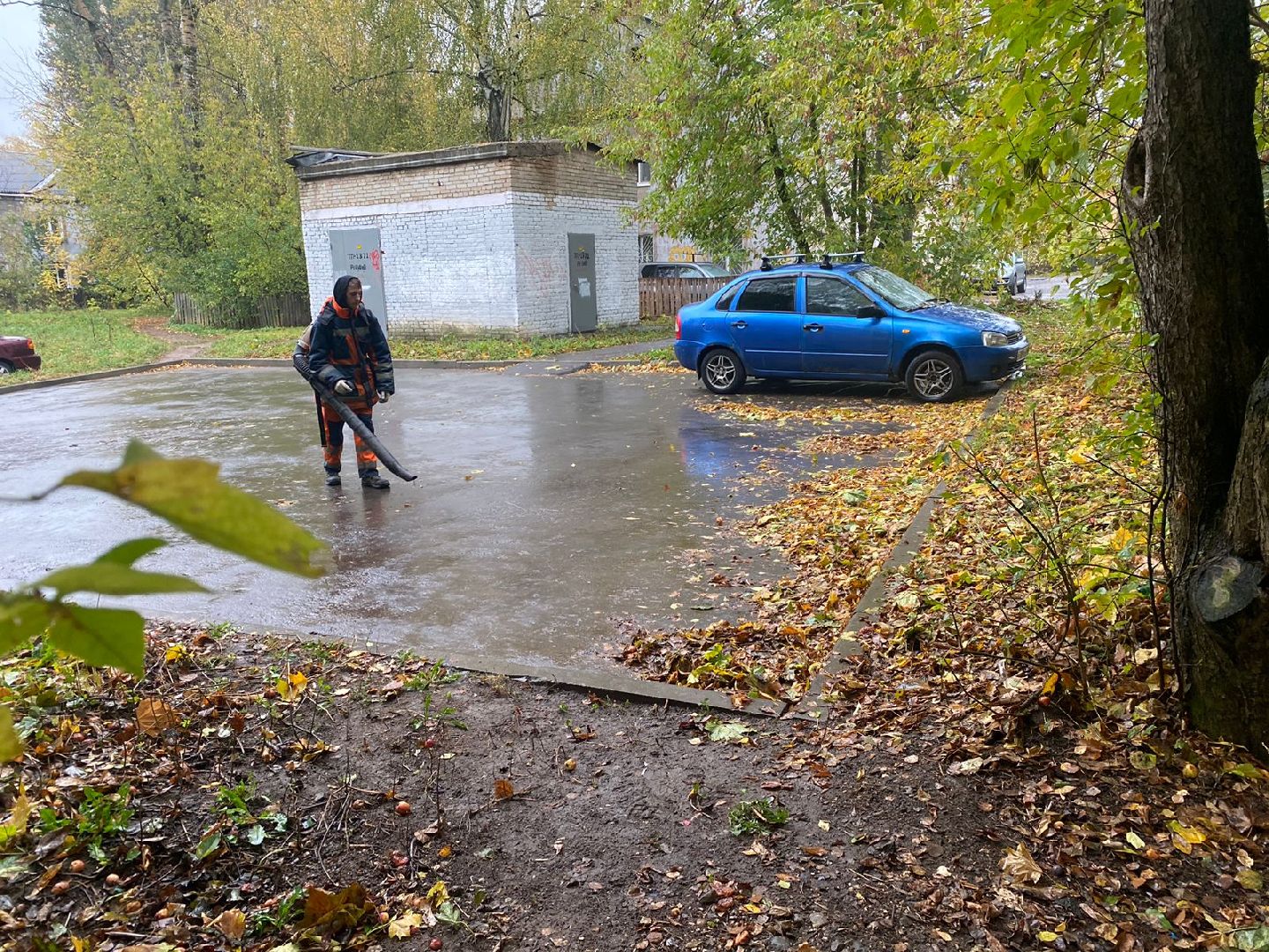 пушкино, благоустройство, листья, коммунальное хозяйство,