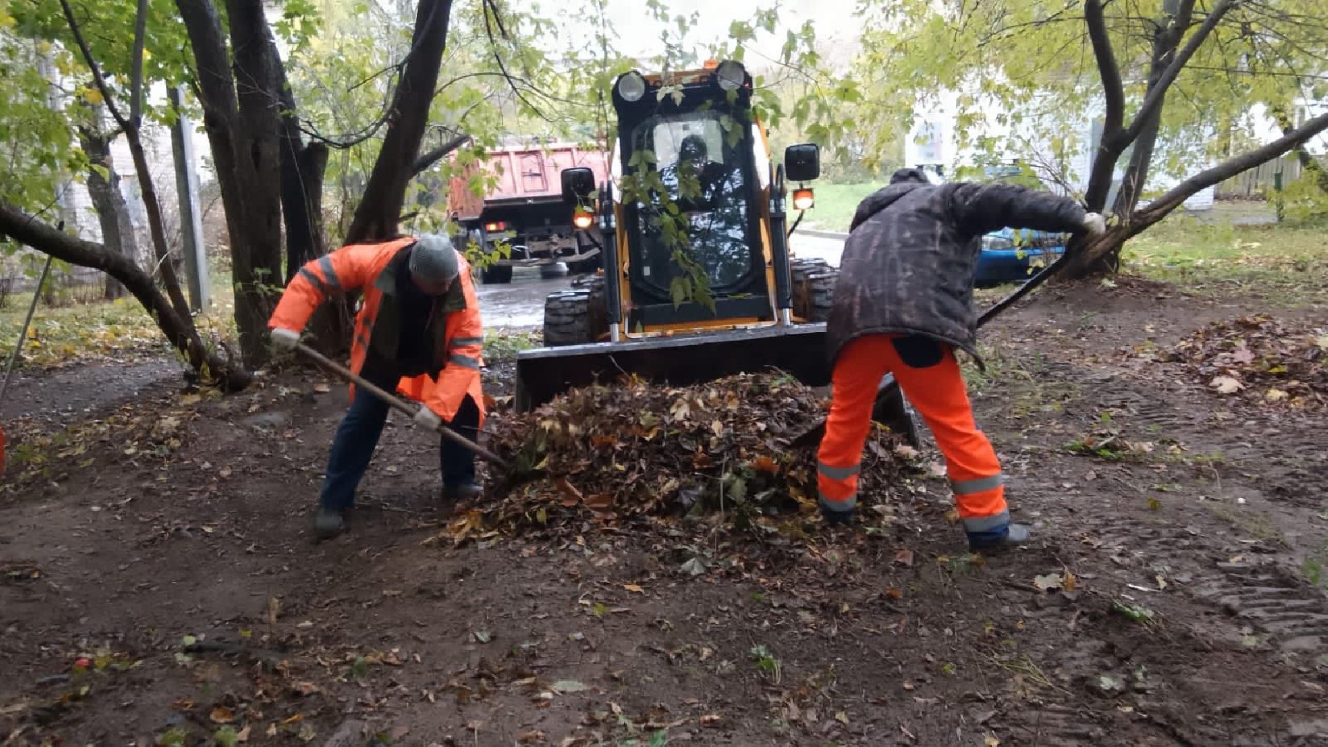 пушкино, благоустройство, листья, коммунальное хозяйство,