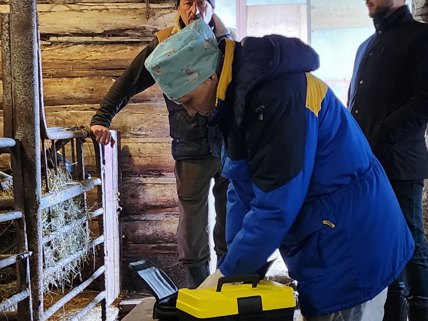 ступино, сибирская язва, сельское хозяйство, вакцинация животных,