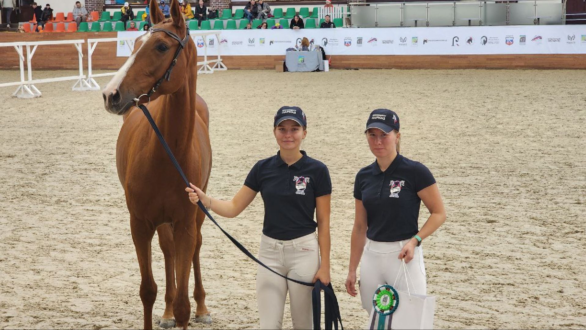 Дмитров, Максима Парк, Выставка Конная Россия,