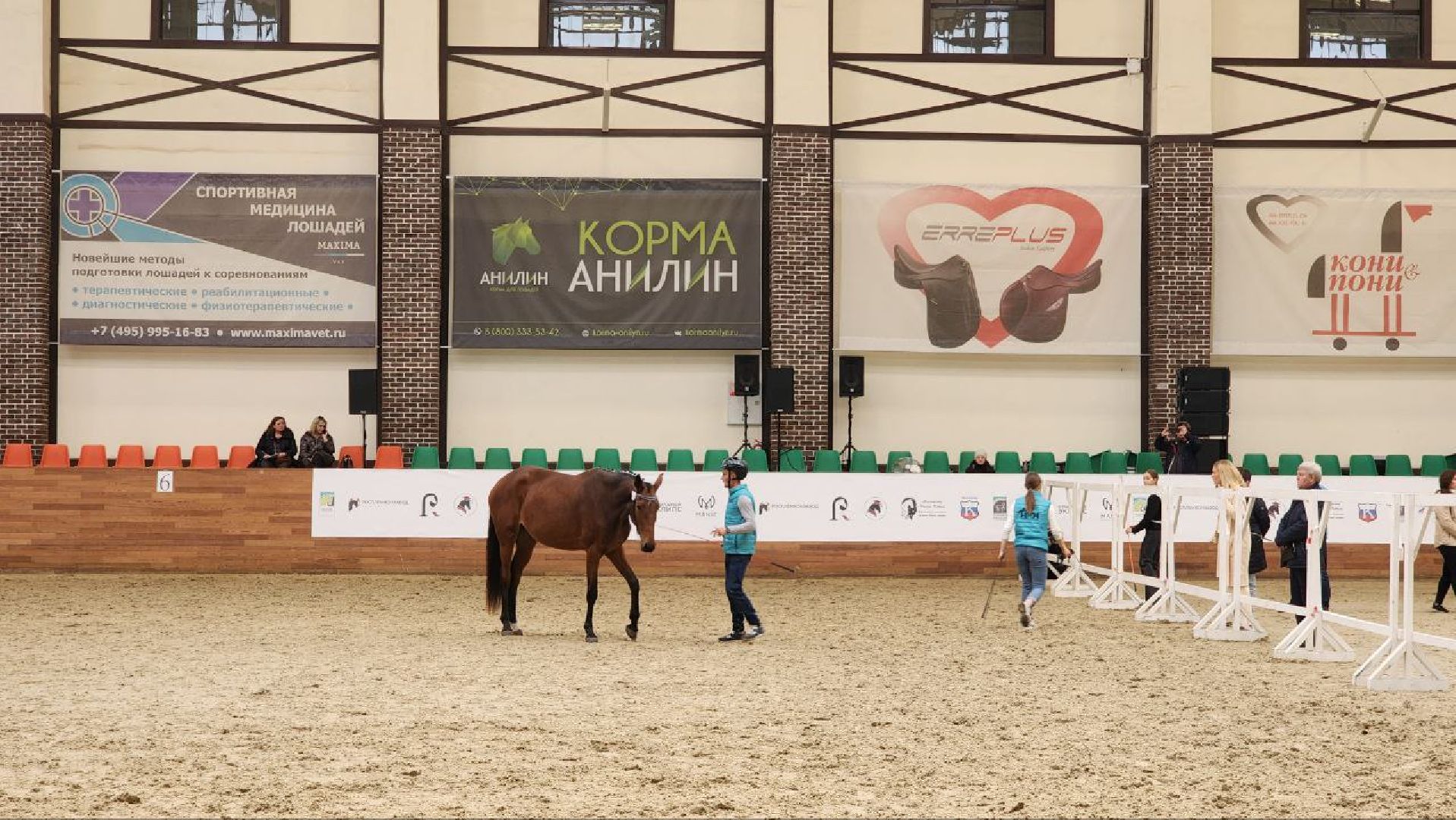 Дмитров, Максима Парк, Выставка Конная Россия,