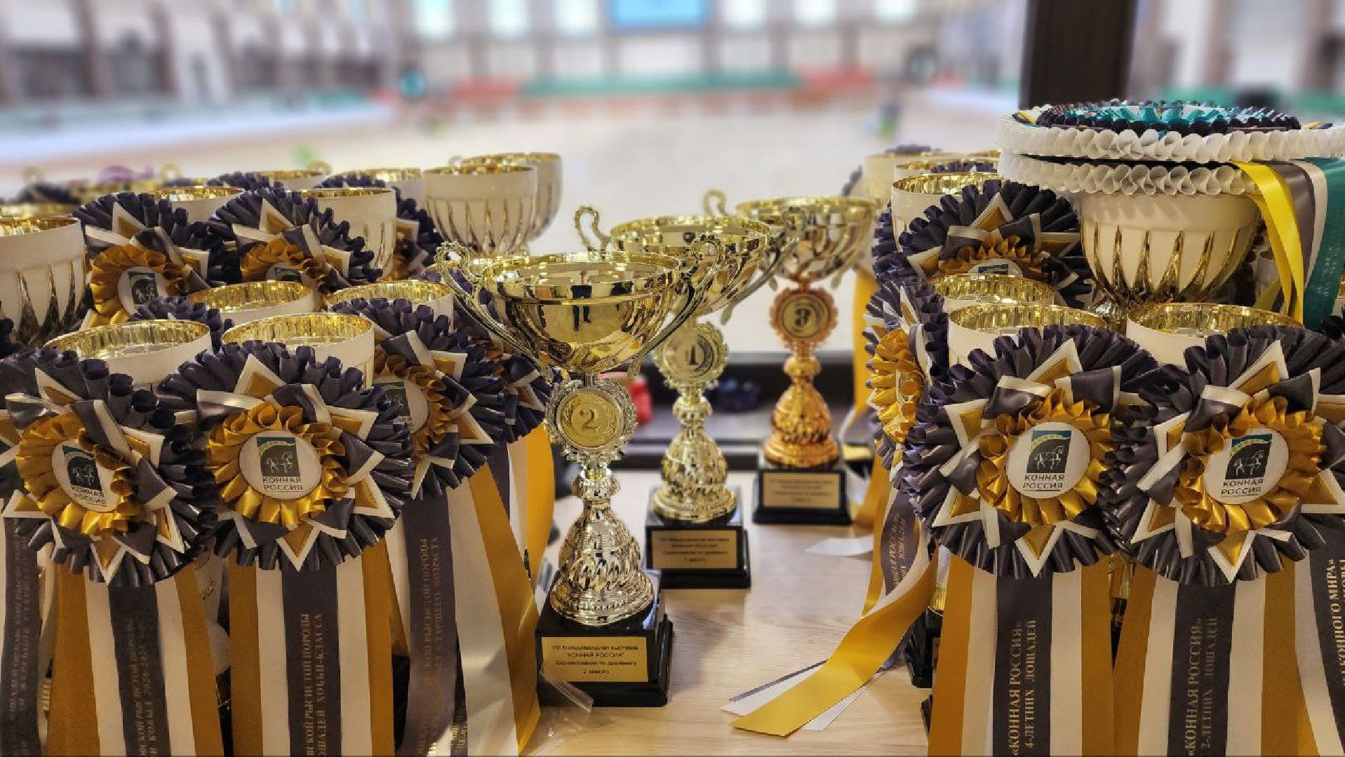 Дмитров, Максима Парк, Выставка Конная Россия,