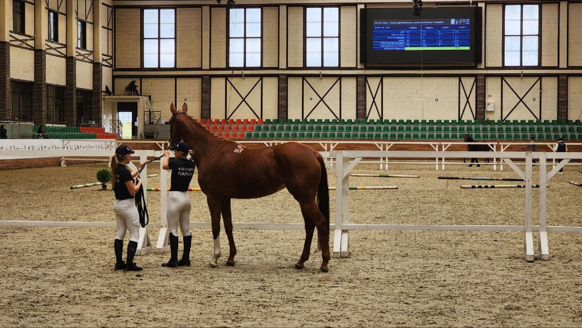 Дмитров, Максима Парк, Выставка Конная Россия,